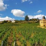 Beaujolais