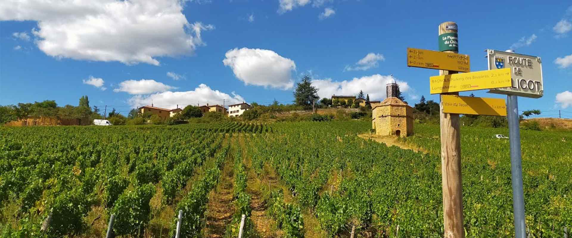 Beaujolais