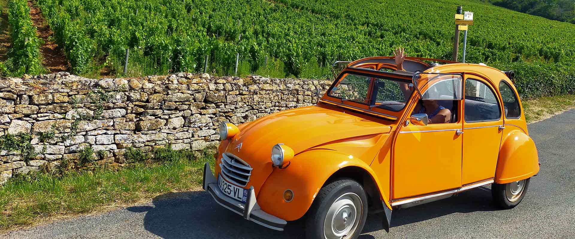 Beaujolais vintage wine tour