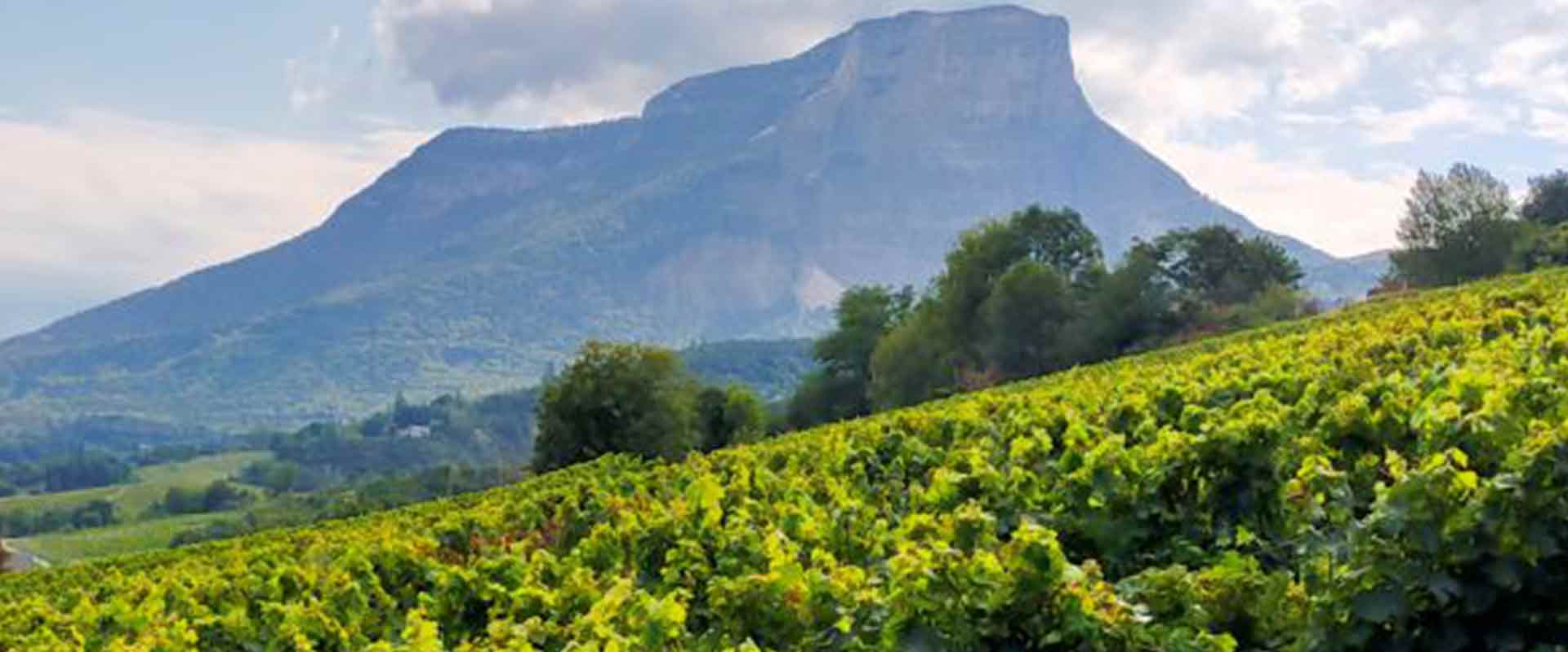 Wine tour Savoie