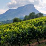 Wine tour savoie